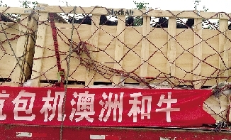 运抵郑州的澳大利亚和牛