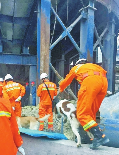 消防官兵出动4只搜救犬，寻找被埋的失踪工人