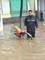 新乡今夜仍有大到暴雨 民警在齐腰深水中执勤