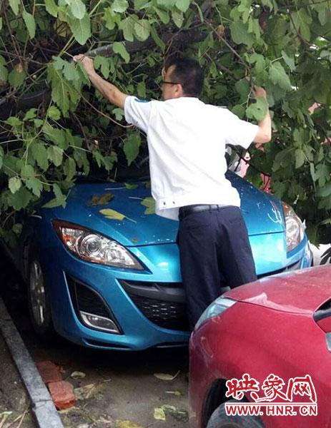 大樹倒下砸中轎車