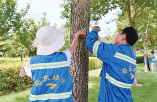 肿腿蜂装置中