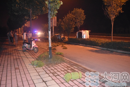 豆角和莧菜被拋出十幾米遠