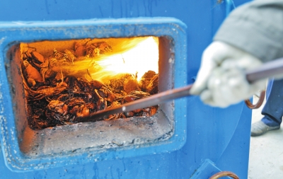 河南焚毀77公斤進口毒螃蟹