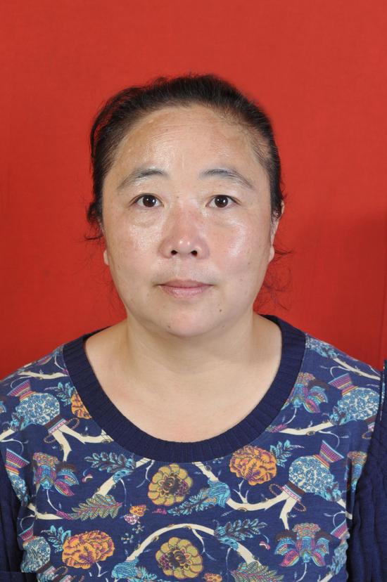 安阳北关区豆腐营街道调委会主任李卫平--调解