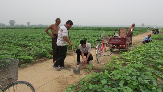 扶沟县白潭镇人民调解委员会主任马红勋--扎根