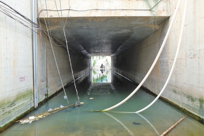 郑州一小学周边路被垃圾山围堵