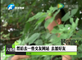 公司要求员工“男扮女”与客户谈恋爱。