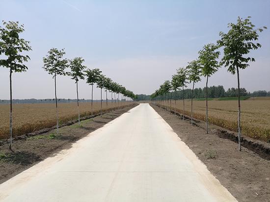 ▲2015年新修建的高白玉村主要道路