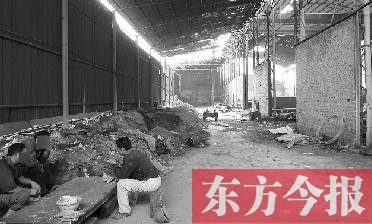 砖厂昼伏夜出