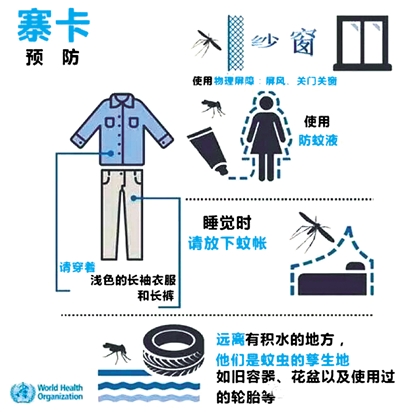 图片来源于网络