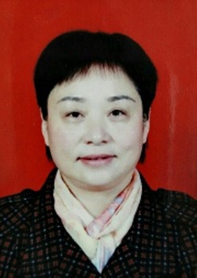 组织员,副乡长,人大主席,镇长,党委书记等职,2015年5月调任方城县委群