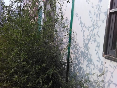 活動中心荒廢多時