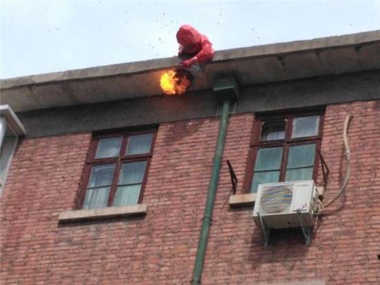 郑州一居民楼外挂篮球大的马蜂窝 住户寝食难