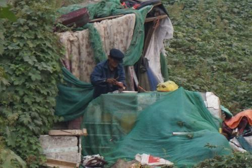 老人從附近飯店要回來的一些殘渣剩飯，在火上熱一熱后，蹲在棚邊吃了起來。