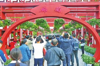 龙亭公园的菊廊吸引了大量游客