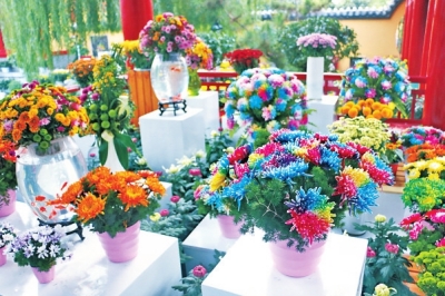 清明上河园内的精品菊花
