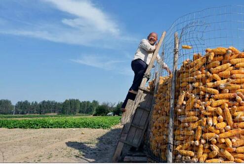 農家金秋----收獲的喜悅