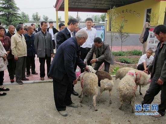 发起爱心募捐,为贫困户捐赠优质羊种。