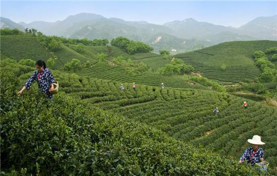 郑州洛阳之外 河南这4个城市发展前景最好