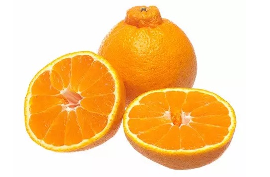 28161_5026072_338869