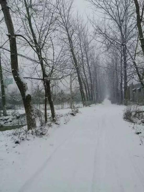 河南迎来鸡年第一场雪