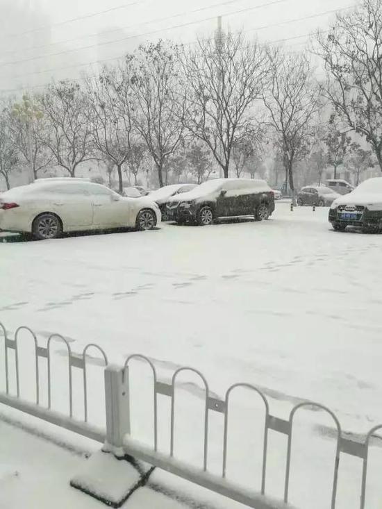 河南迎来鸡年第一场雪