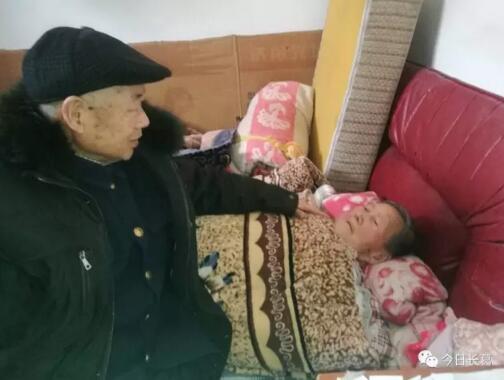 许昌7旬老人每天喂妻子吃饭 从不离开妻子半步