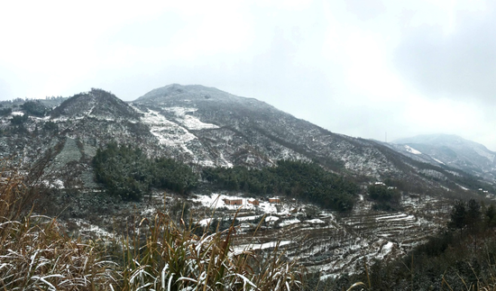 雪后梯田