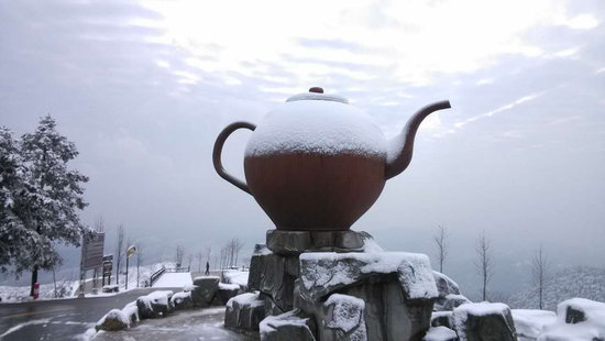 大茶壶雪景