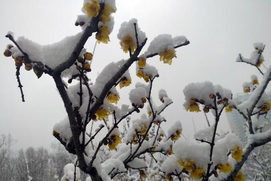 河南下周最全天气预报