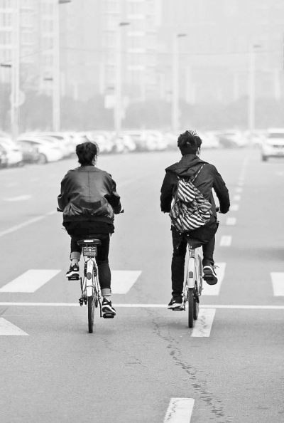 “小黄(左）小绿（右）”何时才能经常在郑州街头成双成对?