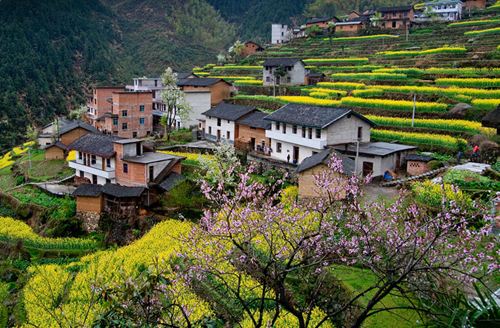 河南未来农村用地要规划 村民全程参与编制