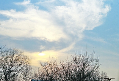 昨天下午，鄭州依然陽光明媚。記者白周峰攝影