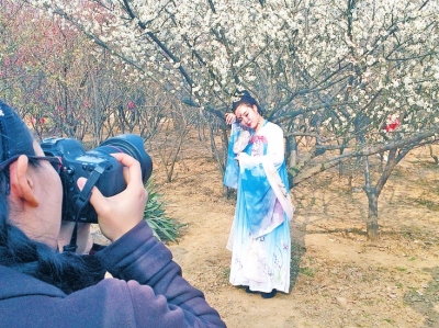 一女子穿著古代服裝，在梅園拍照。