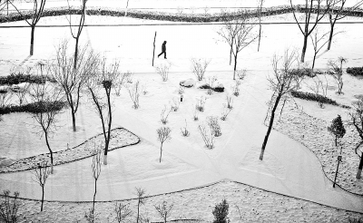 2月20日,在银川市街头,市民在雪中行走。新华社发