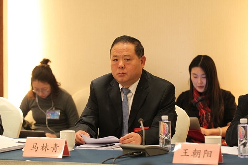 人大代表马林青:建议国家发行环保彩票