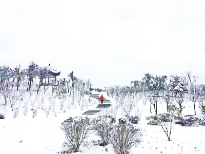 栾川东岭植物园雪景王海冰摄影