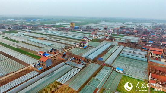 圖為蘭考縣紅廟鎮的蔬菜大棚，縣里發揮農業合作社作用，引導群眾脫貧致富。霍亞平 攝