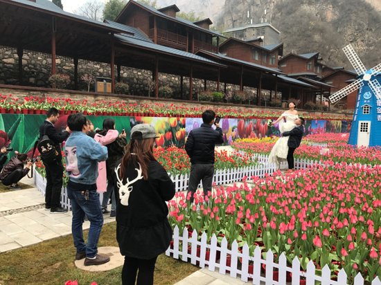 引來了不少游客的駐足圍觀