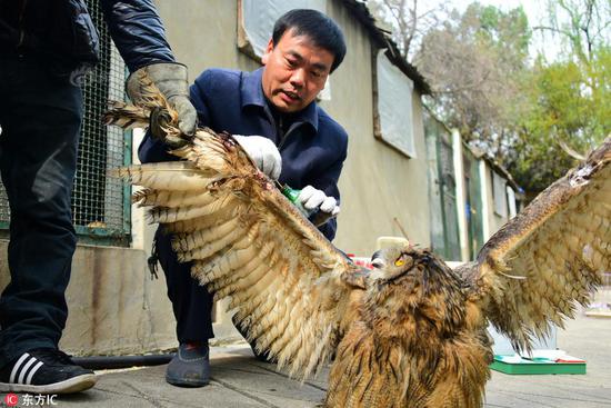 图片来源:东方IC