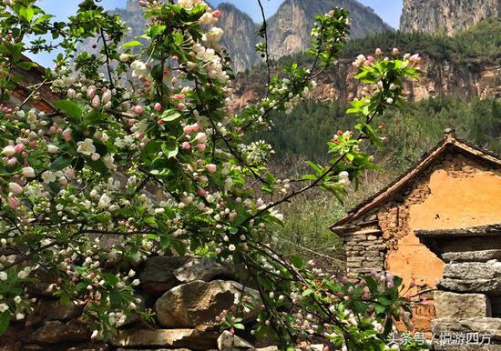 海棠花开的季节,邀您去豫北的这个小村寨赴一