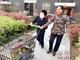 安阳男孩患脑瘫父母离婚 奶奶照顾孙子13年