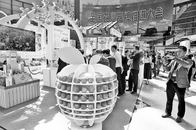 会上各种农产品琳琅满目