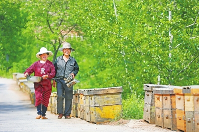 偃师大口人口_偃师大口草庙村(3)