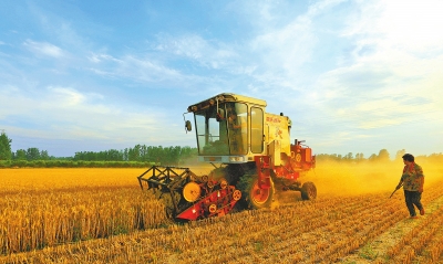 河南已收小麦超2400万亩 未来几天阵雨雷阵雨