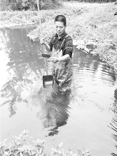 南陽女子公廁內(nèi)遭男子施暴 民警為取證跳化糞池