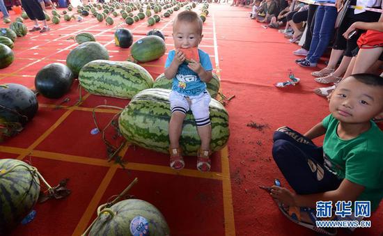 一名小朋友在“斗瓜”大赛比赛现场品尝西瓜。