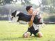 开封小伙做训犬师8年 动作娴熟令人啧啧称奇