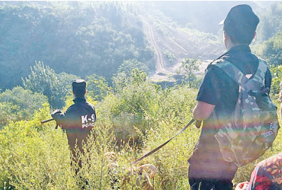 采药人迷路深山 焦作沁阳公安一天一夜搜山营