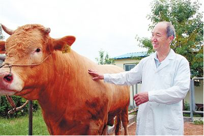 夏南牛恒都牛肉号高铁冠名仪式在郑首发!